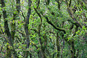 BUITEN BEELD Foto: 337686