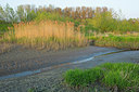 BUITEN BEELD Foto: 337726
