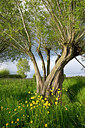 BUITEN BEELD Foto: 337755