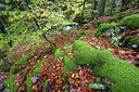 BUITEN BEELD Foto: 337764