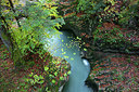 BUITEN BEELD Foto: 337765