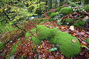 BUITEN BEELD Foto: 337902