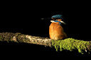 BUITEN BEELD Foto: 337912