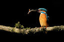 BUITEN BEELD Foto: 337917