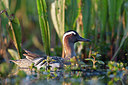 BUITEN BEELD Foto: 337967