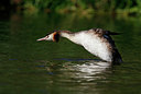 BUITEN BEELD Foto: 338027