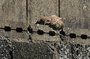 BUITEN BEELD Foto: 338080