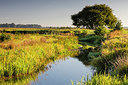 BUITEN BEELD Foto: 338089