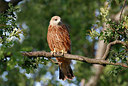 BUITEN BEELD Foto: 338141