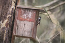 BUITEN BEELD Foto: 338205