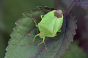 BUITEN BEELD Foto: 338235