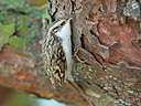 BUITEN BEELD Foto: 338268