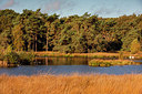 BUITEN BEELD Foto: 338387