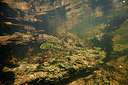 BUITEN BEELD Foto: 338429