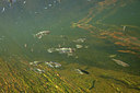 BUITEN BEELD Foto: 338439
