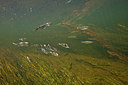 BUITEN BEELD Foto: 338444