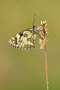 BUITEN BEELD Foto: 338587