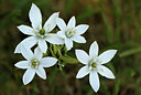 BUITEN BEELD Foto: 338621