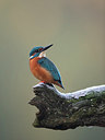 BUITEN BEELD Foto: 338698