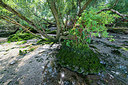 BUITEN BEELD Foto: 338950
