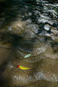 BUITEN BEELD Foto: 338970