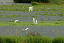 BUITEN BEELD Foto: 33084