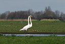BUITEN BEELD Foto: 33096