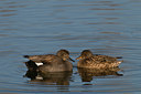 BUITEN BEELD Foto: 33116