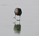 BUITEN BEELD Foto: 33125