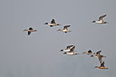 BUITEN BEELD Foto: 33142