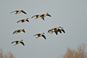 BUITEN BEELD Foto: 33171
