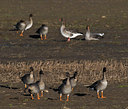 BUITEN BEELD Foto: 33173