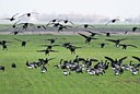 BUITEN BEELD Foto: 33229