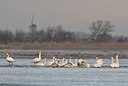 BUITEN BEELD Foto: 33230