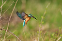 BUITEN BEELD Foto: 33240