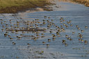 BUITEN BEELD Foto: 33286