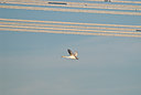 BUITEN BEELD Foto: 33315