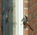 BUITEN BEELD Foto: 33349