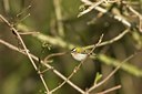 BUITEN BEELD Foto: 33417