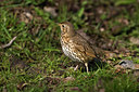 BUITEN BEELD Foto: 33446