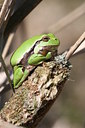 BUITEN BEELD Foto: 33472