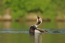 BUITEN BEELD Foto: 33588
