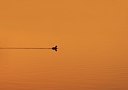 BUITEN BEELD Foto: 33635