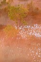 BUITEN BEELD Foto: 33760