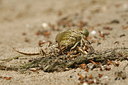 BUITEN BEELD Foto: 33986