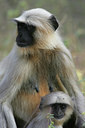 BUITEN BEELD Foto: 33997
