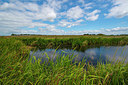 BUITEN BEELD Foto: 339044
