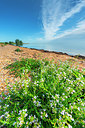 BUITEN BEELD Foto: 339134