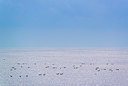 BUITEN BEELD Foto: 339160