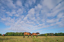 BUITEN BEELD Foto: 339193